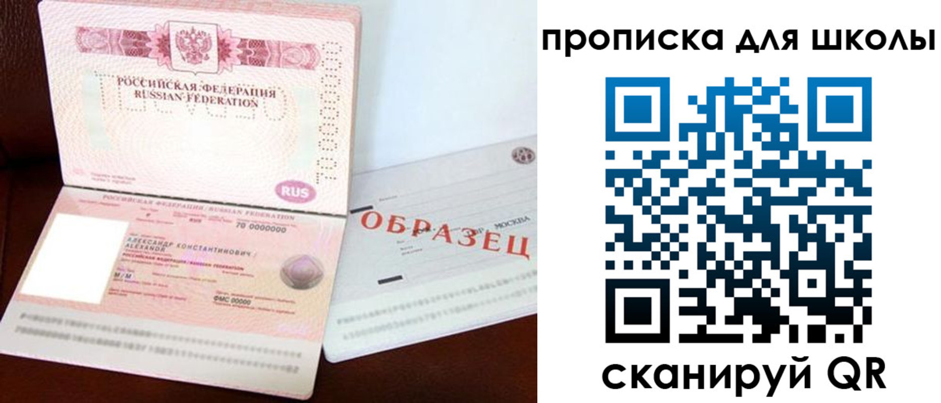 прописка для школы в Мончегорске
